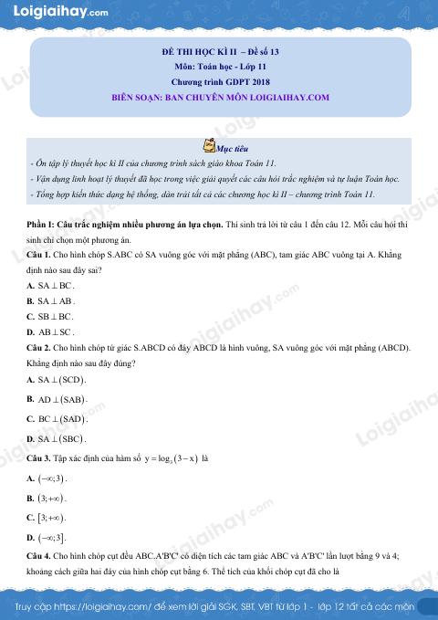 Đề thi học kì 2 Toán 11 - Đề số 13